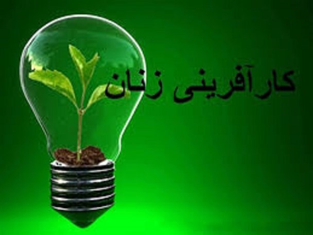 بانوان، موثرترین اهرم راه اندازی کسب و کار هستند/ توجه به ایده های نو و خلاقانه کارآفرینان لازمه تحقق اقتصاد مقاومتی