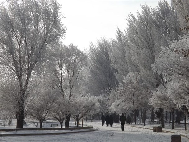زیبایی زمستان و پدیده ای به نام "قرو"