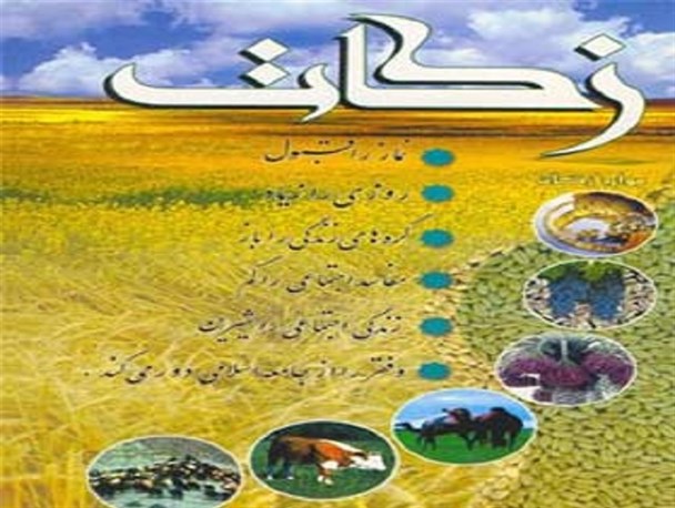 کسب رتبه نخست کشوری استان بوشهر در جذب زکات / رشد ۱۰۴ درصدی زکات در استان