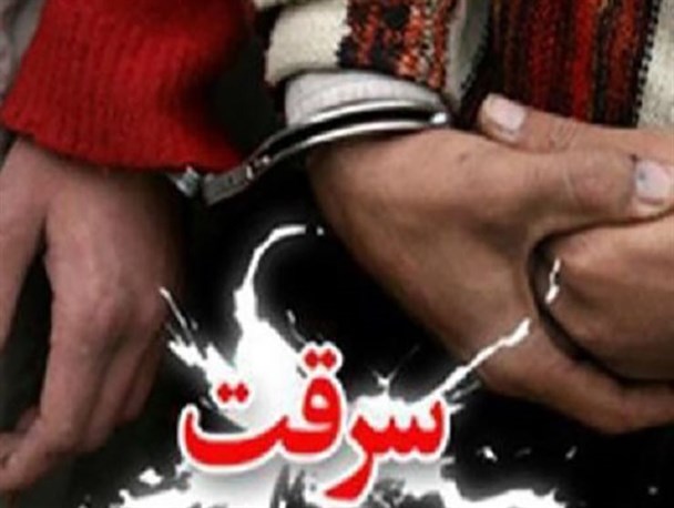 سارقان به عنف در شرق اصفهان در دام قانون گرفتار شدند
