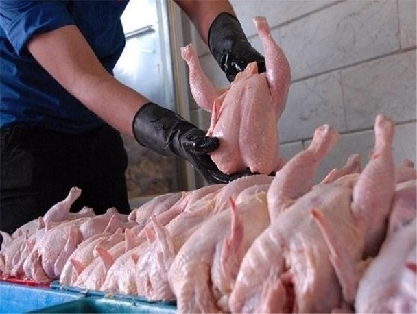 ​مرغ فروشان متخلف به پرداخت 405میلیون ریال جریمه محکوم شدند