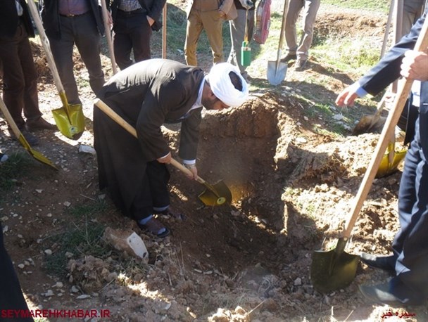 کاشت هزار نهال شناسنامه دار در دره شهر/تصاویر