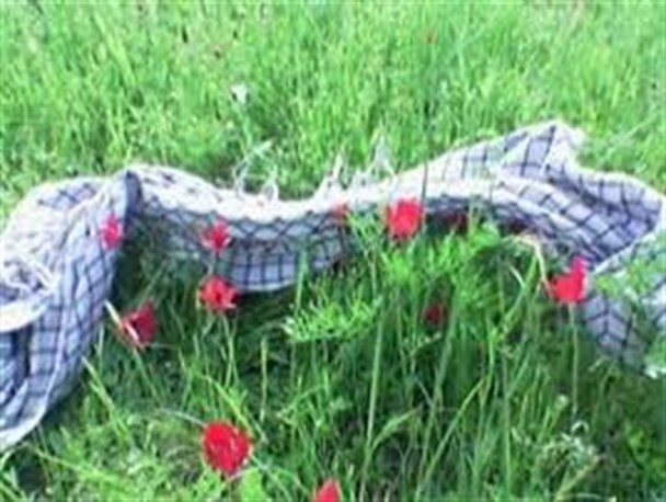 جمعی از مسئولان شهرستان سیروان با خانواده معظم شهدا دیدار کردند