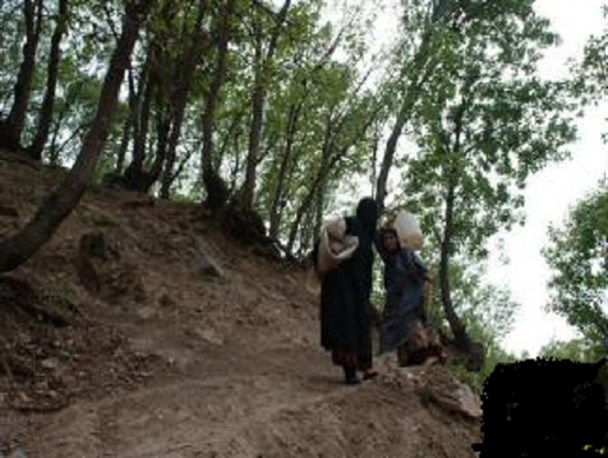 61 درصد بانوان روستایی لرستان باسواد هستند