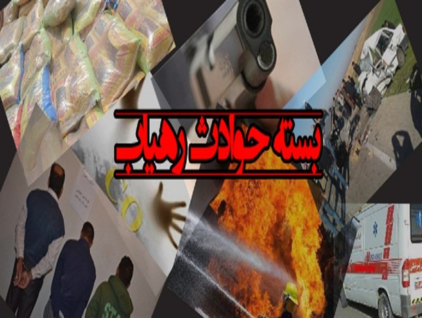 دستگیری ۶ متخلف شکار و صید غیرمجاز در خوزستان/ نابودی ۶۰۰ اصله درخت گردو در باغملک/ کشف محموله قاچاق ۵۰۰ قطعه بلبل در آبادان