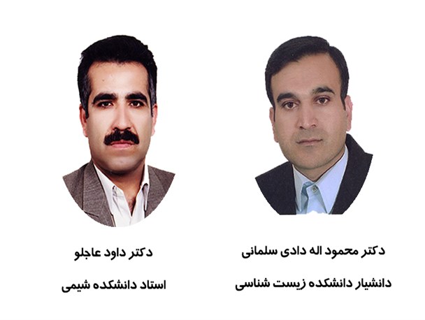 دو عضو هیئت علمی دانشگاه دامغان به مرتبه استادی و دانشیاری ارتقاء یافتند