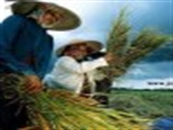 هم اندیشی اشتغال روستایی با حضور مدیران کل امور روستایی استانهای کشور در اراک