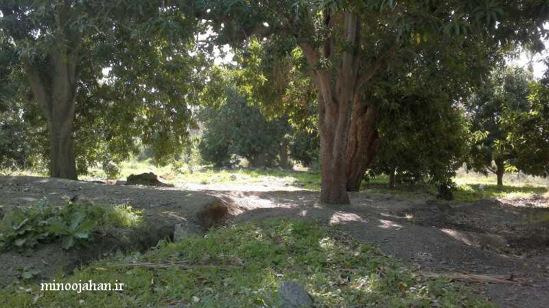 تصاویر/ باغ زیبای روضه ارم در منوجان