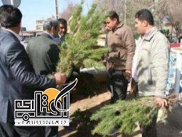 توزیع 270 هزار نهال رایگان در شهرری
