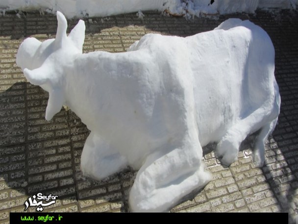عکس/هنرنمایی زیبا با برف