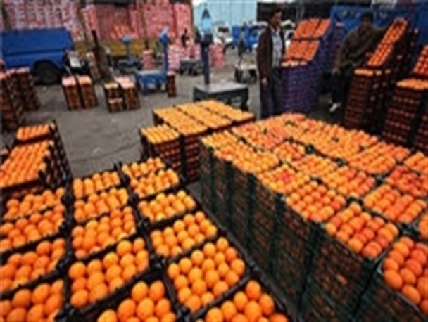 توزیع میوه شب عید شهرستان اردل از 25 اسفند آغاز می شود
