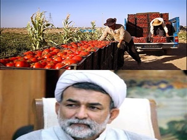 تشکر جمعی از کشاورزان شهرستان "دشتی" از نماینده جنوب استان/ ایجاد دو مرکز خرید گوجه در بخش های بردخون و آبدان
