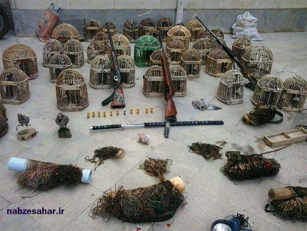 کشف ۲۲ قطعه کبک از منزل شکارچی متخلف در خرمدره+ تصاویر