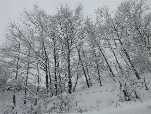 طبیعت زیبای زمستان از آذربایجان تا شمال