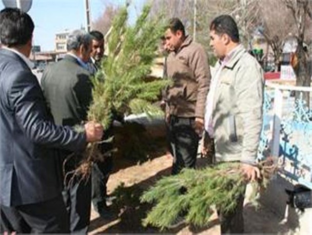 ۸ هزار اصله نهال رایگان در شهرستان گرمه توزیع می‌شود