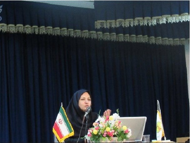 مدیریت بانوان در خانه اثرگذارترین راه برای کاهش مصرف انرژی خانگی است