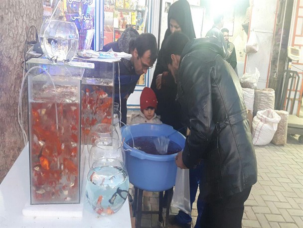 آمدن ماهی قرمزها، نخستین چراغ بازار شب عید را روشن کرد+تصاویر
