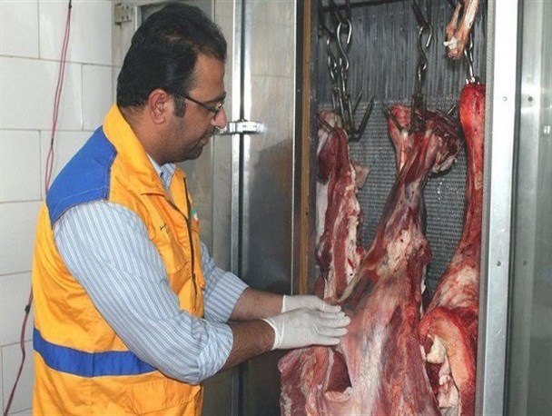 تشدید نظارت‌های بهداشتی در ایام پایانی سال/ ۲۶ اکیپ در سطح استان حضور فعال دارند