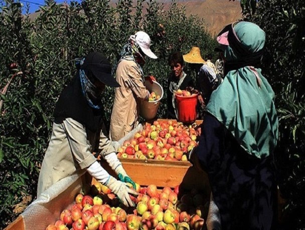 زمینه اشتغال خانگی بانوان در دماوند فراهم است