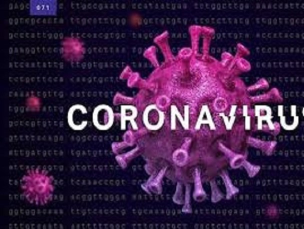 تعداد مبتلایان بیماری کرونا در تفرش کم است/ایجاد ایست و بازرسی در مبادی ورودی تفرش