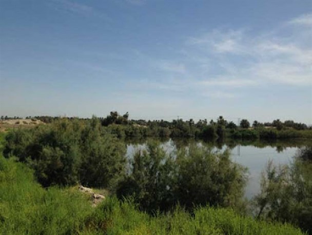 تالاب "نمردیان"؛ سرزمین ناشناخته‌ها در جنوب شرق کشور/ فضایی سحرانگیز در دل کویر