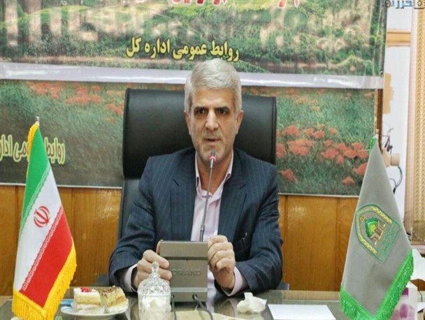 زراعت 460 هکتار چوب در مازندران/ 1.9 میلیون اصله نهال تولید شد