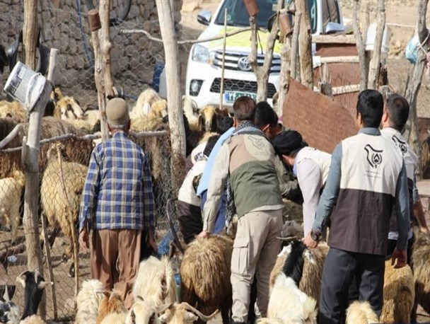 خدمات‌رسانی بسیج جامعه کشاورزی سپاه فتح به ۲۸ روستای محروم کهگیلویه‌وبویراحمد+تصاویر