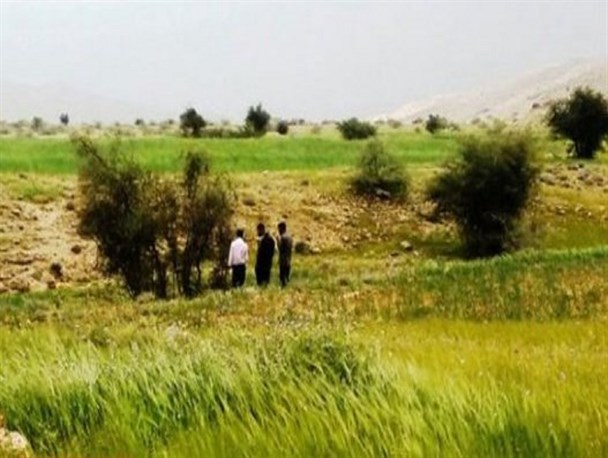 طبیعت چشم نواز دشت شمس آباد چرام در قاب تصویر