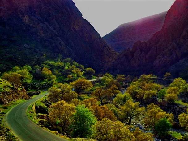 تصاویر/تابلوی چشم نواز طبیعت درروستای گناوه