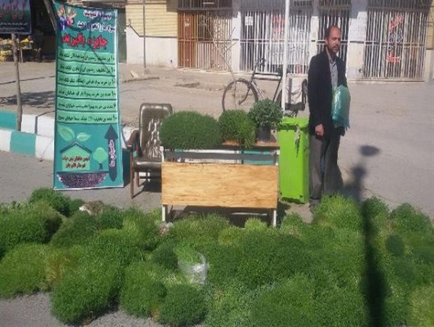 طرح جمع آوری سبزه های عید نوروز جهت تهیه کمپوست در فلاورجان/ تصاویر