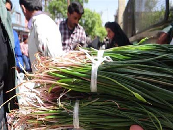 عطر گیاهان خوراکی در بازار بروجرد پیچید