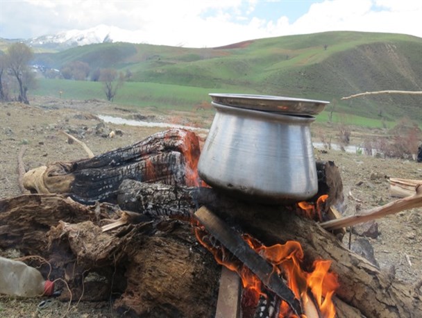آشتی شهروندان سقزی با طبیعت در روز طبیعت به روایت دوربین