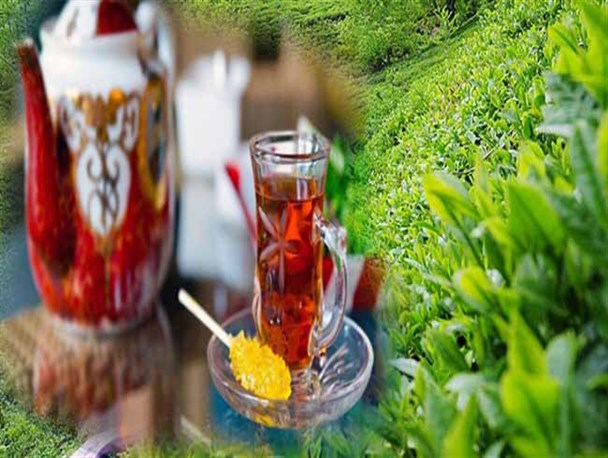 توام کردن اقتصاد مقاومتی با مصرف چای ایرانی