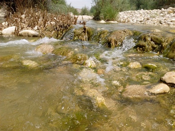 تصاویر زیبا از روستای باغان دشتی