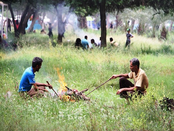 نحسی ۱۳ دامان طبیعت را گرفت+تصاویر
