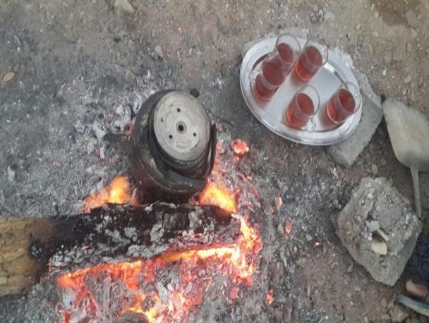 سیزده بدر روز آشتی با طبیعت/ وداع با تعطیلات نوروزی+تصاویر