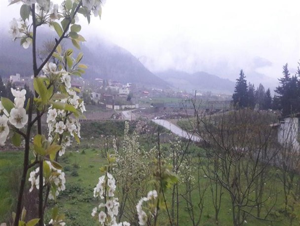 لبخند بهار بر طبیعت بکر و زیبای رامیان/ تصاویر