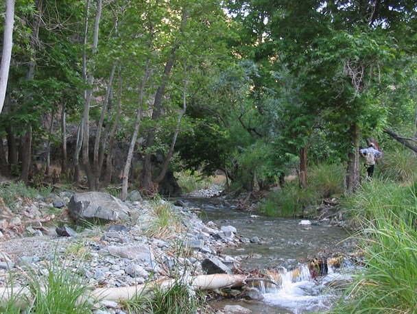 افزایش ۲۶ درصدی گردشگران نوروزی در خلیل‌آباد