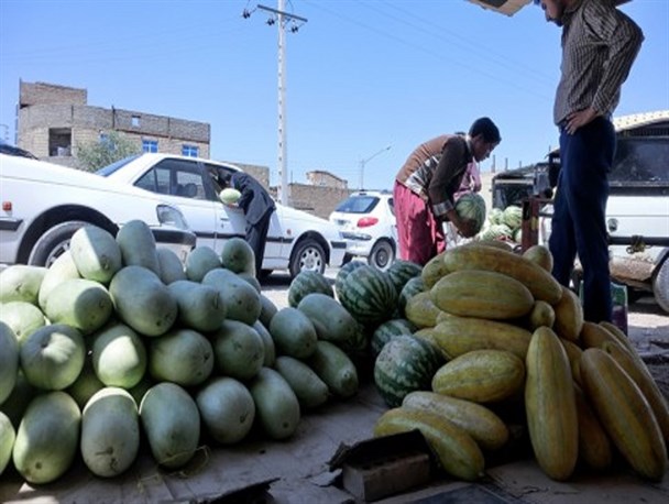 برداشت ۴۰۰ هزار تن محصول خارج از فصل در سیستان و بلوچستان/ طالبی و هندوانه آذین همیشگی فروشگاه های جنوب شرق