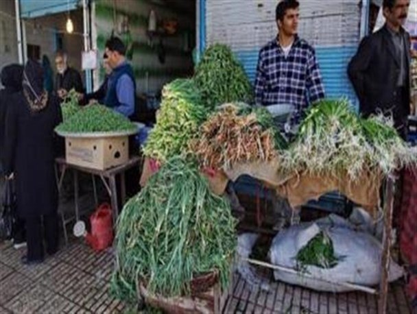 گیاهان بهاری جادوی نهفته در دل طبیعت/برداشت 135 نوع گیاهان خوراکی و بهاری در بیجار