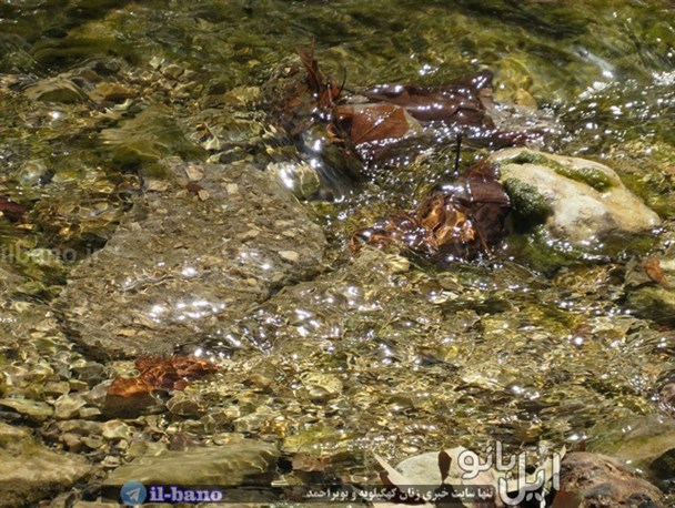 تنگ زیبای گنجه ای میزبان مسافران و گردشگران نوروزی+تصاویر