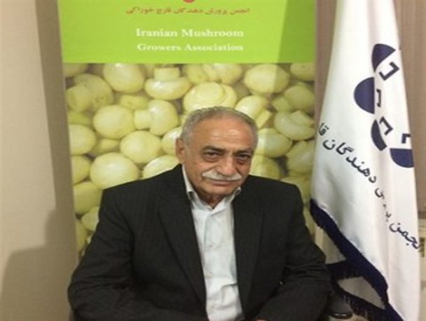 تشخیص قارچ سمی از خوراکی بدون متخصص امکان پذیر نیست