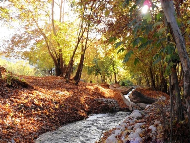 تنگ گنجه ای بویراحمد گنجینه بی نظیر گردشگری در ایران+تصاویر
