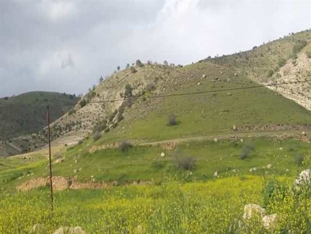 طبیعت چشم نواز دشت های پر از گل گچساران+تصاویر