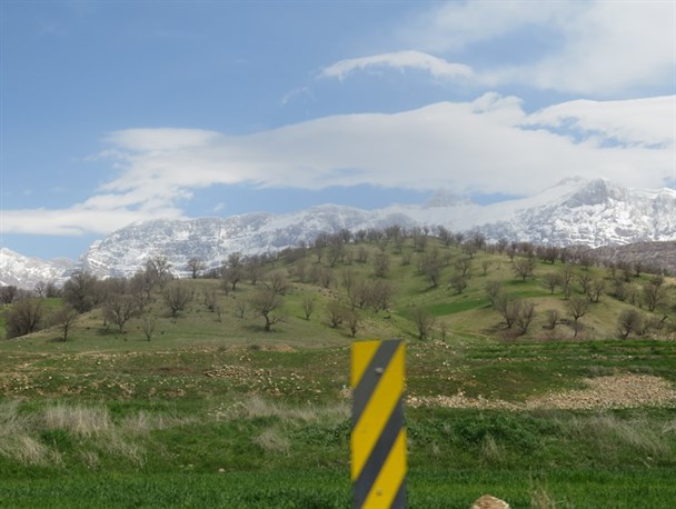 چشم نوازی طبیعت زیبای دارشاهی بویراحمد به روایت تصویر