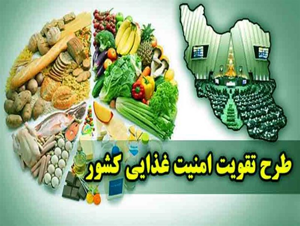 تاکید بر بهره‌گیری از ظرفیت‌های مرزی برای تقویت امنیت غذایی