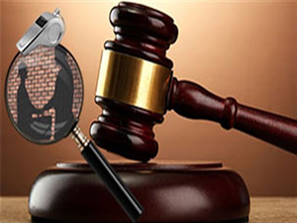 ۴۱۰ میلیارد ریال تخلف اقتصادی در تربت حیدریه ثبت شد