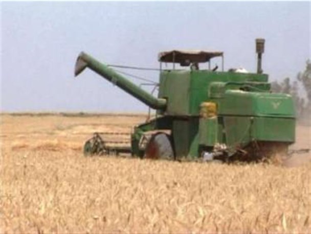 پیش بینی برداشت 17 هزار تن گندم و جو از مزارع شهرستان سیروان