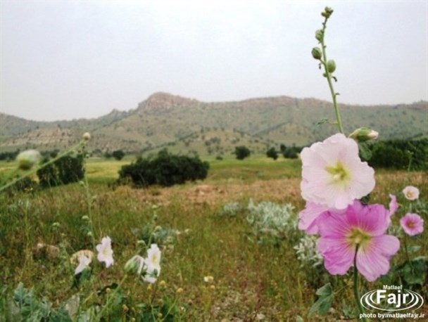 مناظر دیدنی و طبیعت زیبای گیلانغرب