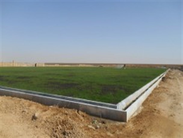 مسئول عمران و نظارت شهرداری دولت آباد از تکمیل پروژه زمین چمن خبر داد +عکس